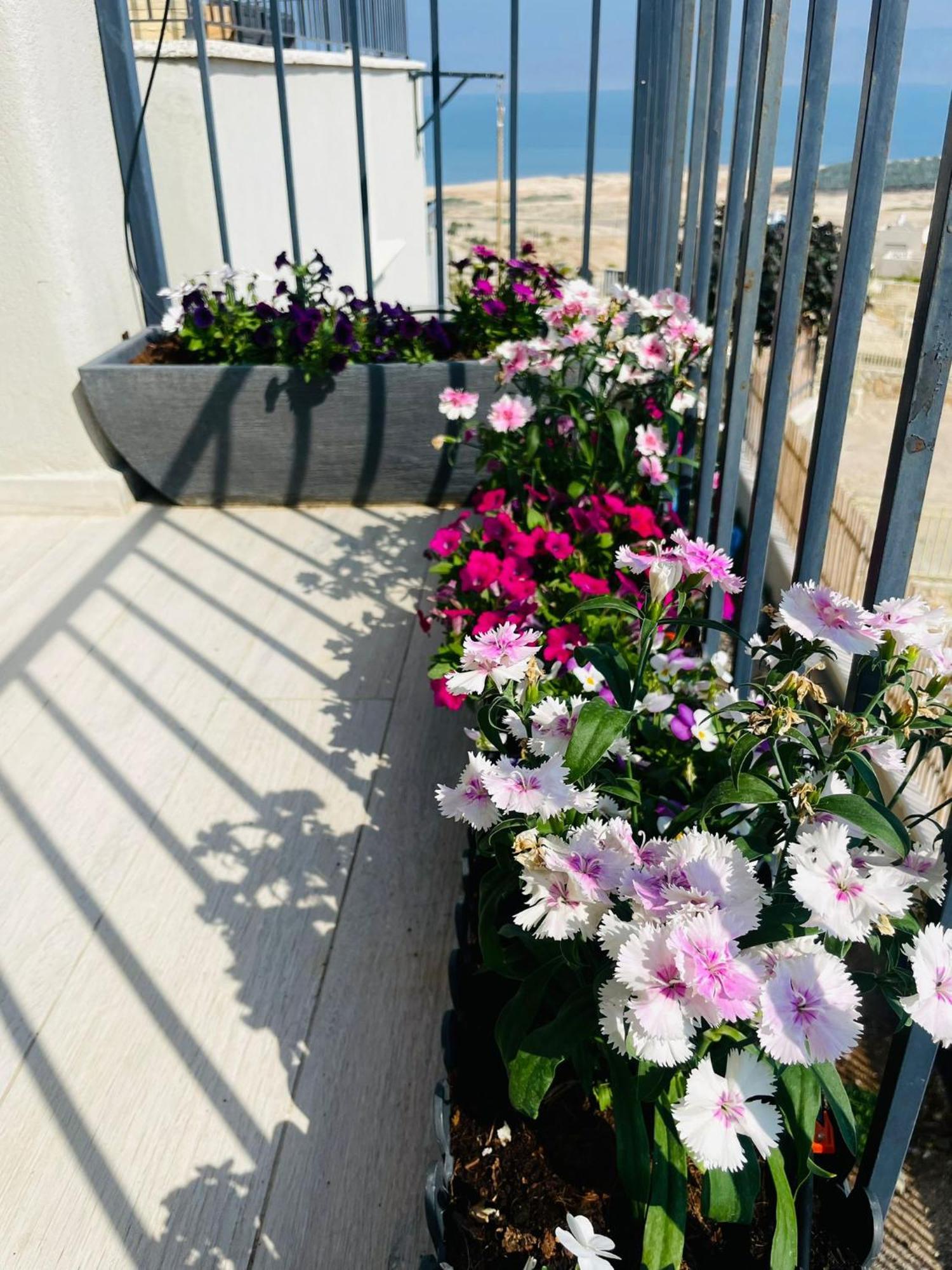 Apartamento בין הר ובין ים Avnat Exterior foto